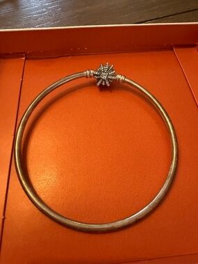 Pandora Bracelet